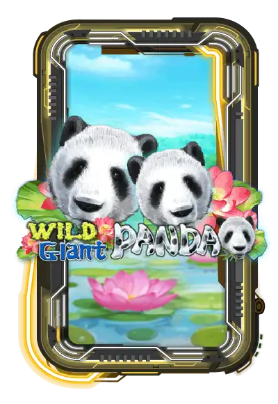 Wild Giant Panda