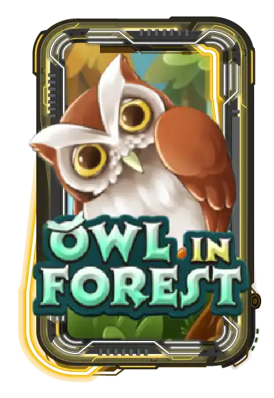 Owl In Forest