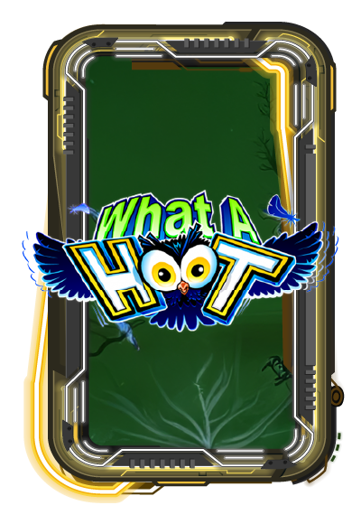 What A Hoot