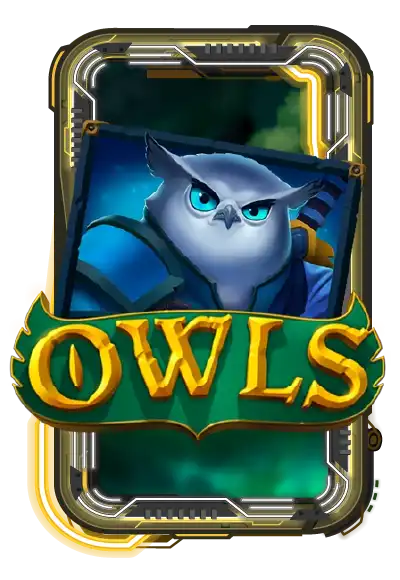 Owls