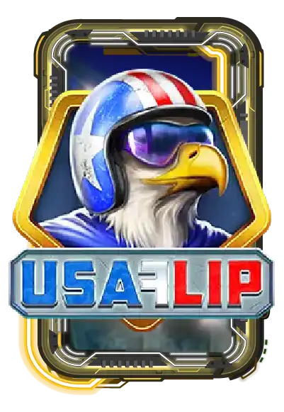 USA Flip