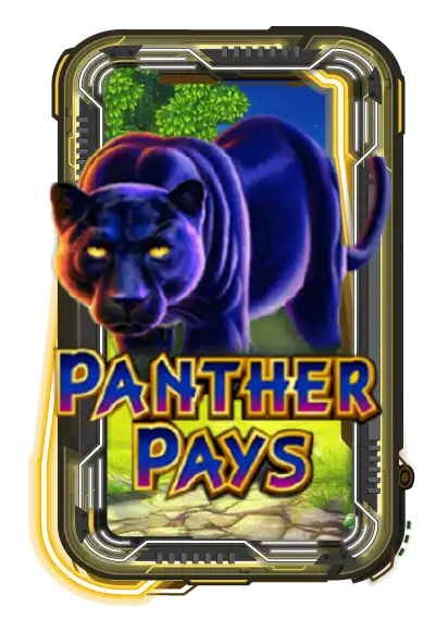 Panther Pays