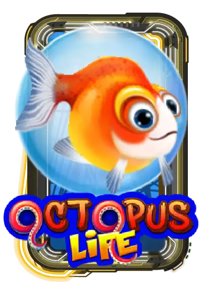 Octopus Life