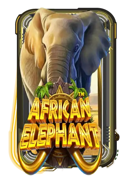 African Elephant