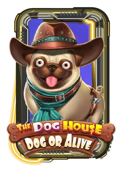 The Dog House - Dog or Alive