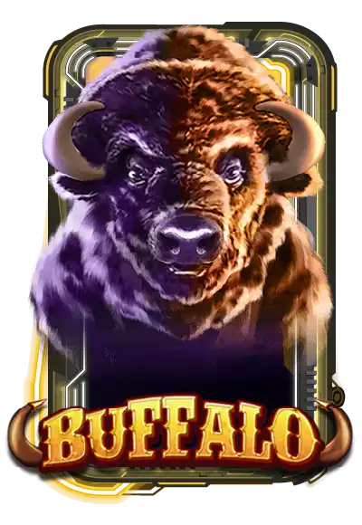 Buffalo
