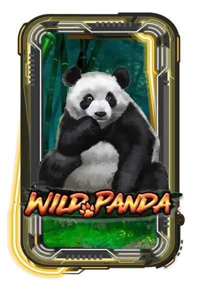 Wild Panda