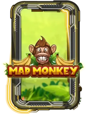 Mad Monkey
