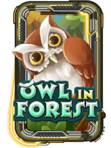 Owl In Forest
