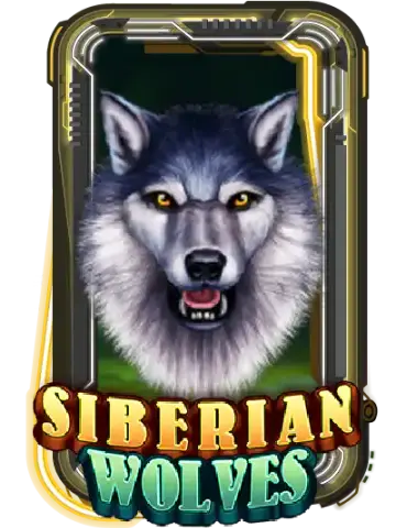 Siberian Wolves