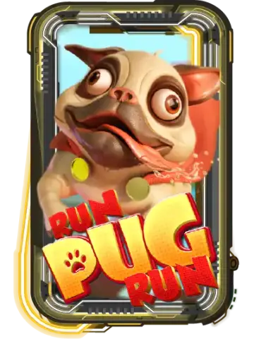 Run Pug Run