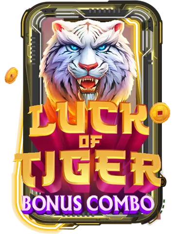 Luck of Tiger: Bonus Combo
