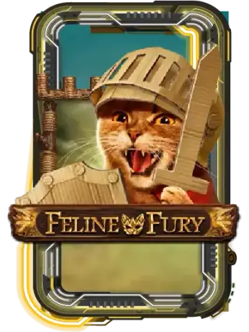 Feline Fury