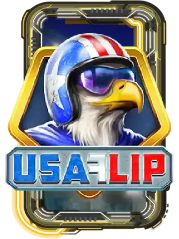 USA Flip