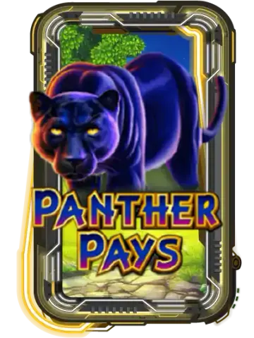 Panther Pays