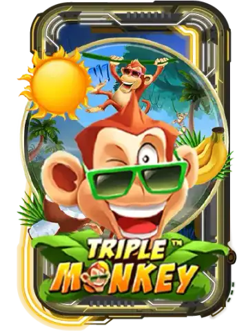 Triple Monkey