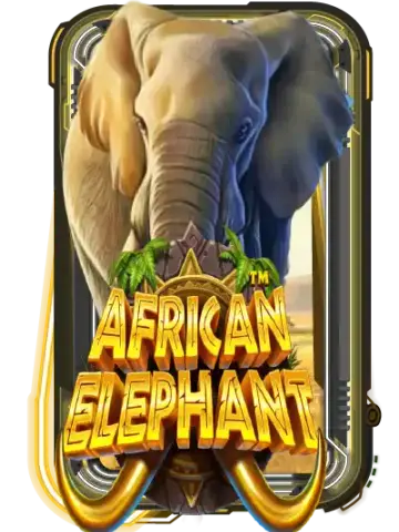 African Elephant