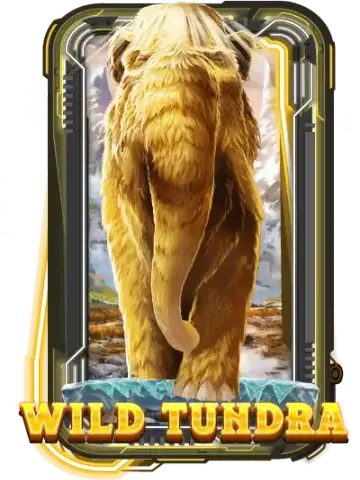 Wild Tundra