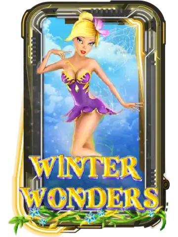 Winter Wonders
