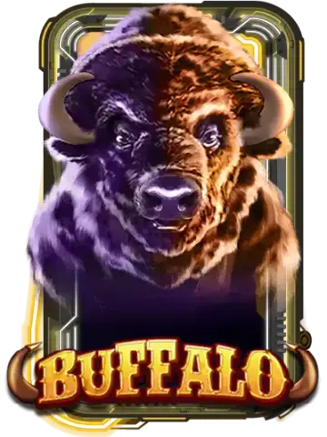 Buffalo